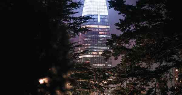佛跳墙2.