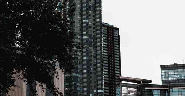 佛跳墙2.